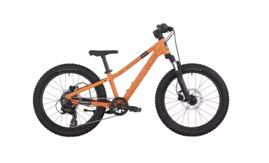 SCOTT Roxter 200