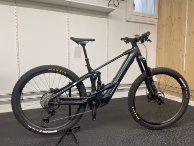 Orbea Wild H10