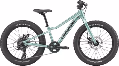 Cannondale Kids Trail Plus 20