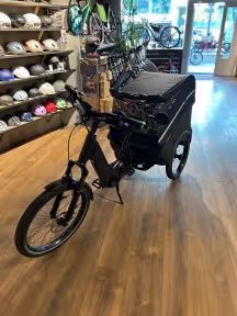 Cube Trike Cargo Hybrid 1500