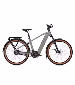 Kalkhoff City-E-Bike Entice 5+ Advance Belt Di 800Wh