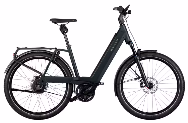 Riese & Müller Nevo GT vario