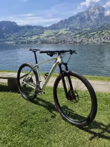 SPECIALIZED Custom-Built