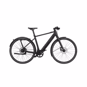 Riese & Müller E-Bike Ubn Five Silent