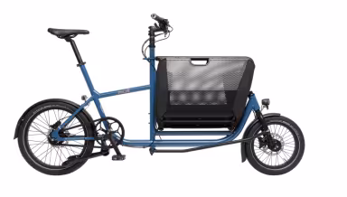 Muli Cycles Muli Muscle