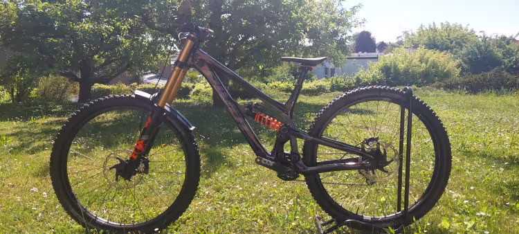Pivot Phoenix 29