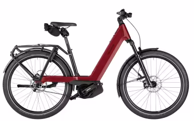 Riese & Müller Nevo5 pinion