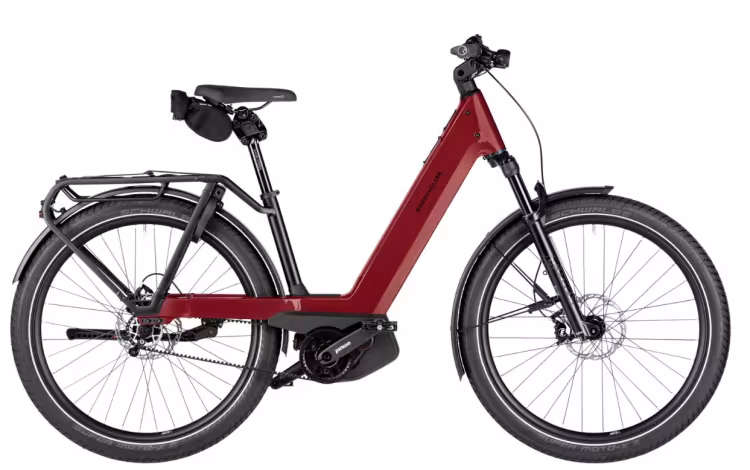 Riese & Müller Nevo5 pinion