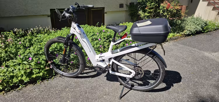 Riese & Müller Homage GT Rohloff HS