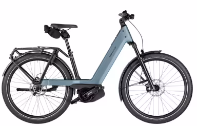 Riese & Müller Nevo5 pinion