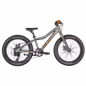 SCOTT Roxter 20 silver