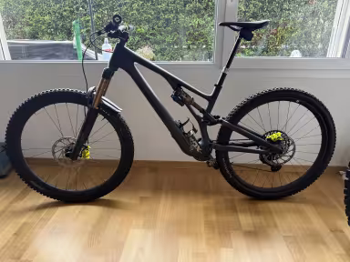 SPECIALIZED Stumpjumper Evo Sworks