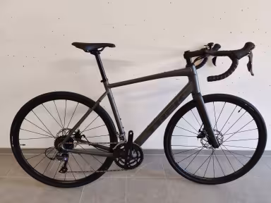 TREK Domane AL 2 Gen 4