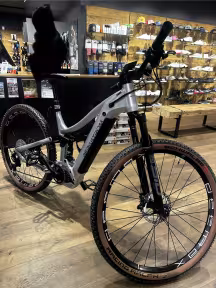 Bergstrom XCV 869