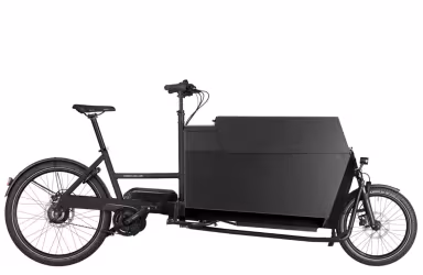 Riese & Müller Transporter2 85 vario