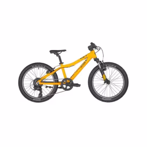 Bergamont Vélo 20'' Bergamonster