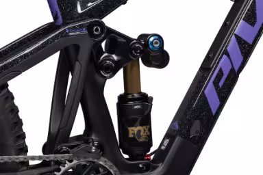 Pivot Firebird Custom