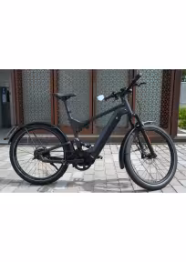 Riese & Müller Delite GT rohloff HS