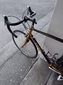 TREK Carbon Race 2300