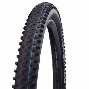 Schwalbe Tire Racing Ray 2