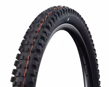 Schwalbe Tire Magic Mary 2