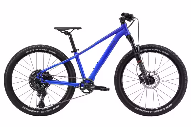 Bixs Traction 240