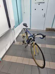 COLNAGO Mega Master