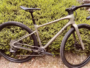 Liv Devote Advanced 1