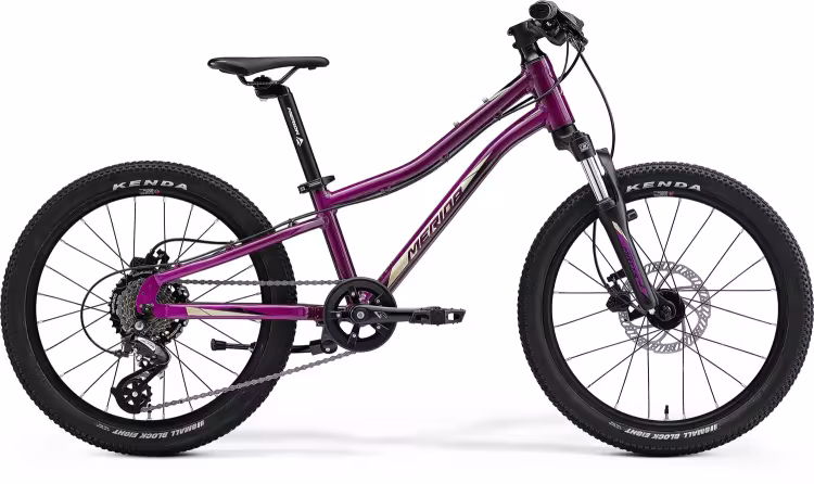 MERIDA Matts J. 20