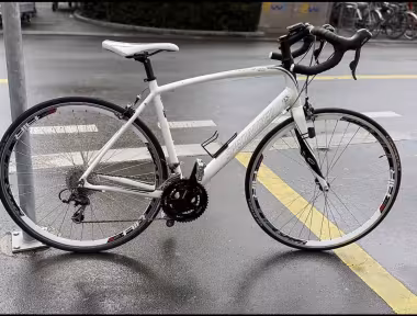 SPECIALIZED Rennrad