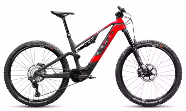 Rotwild R.x850 Pro