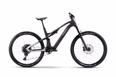 Haibike Lyke Cf 10