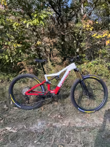 Orbea Rise M10