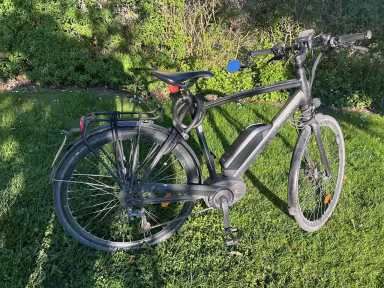 Gazelle Cityzen Speed