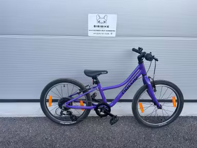 Naloo Chameleon 20", Mk2.1, Purple
