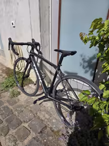 TREK Émonda SL 6