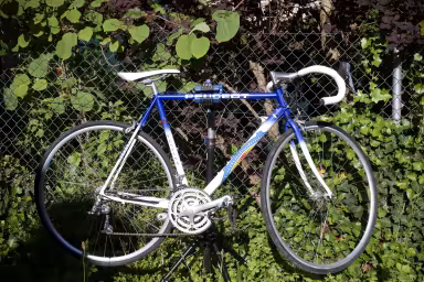 Peugeot Festina Replica