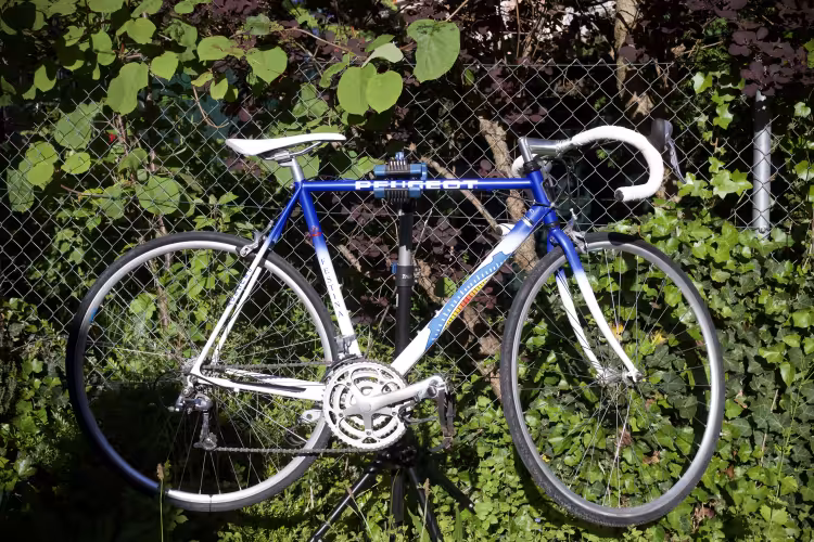 Peugeot Festina Replica