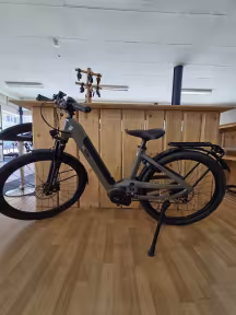 Cresta eViva Neo