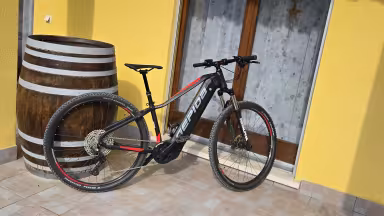 Gepida Ruga Pro