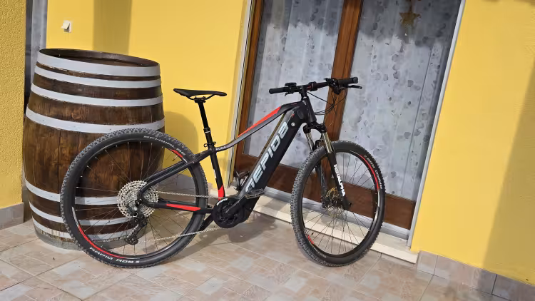 Gepida Ruga Pro