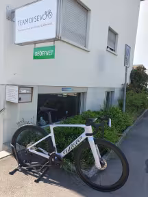 Wilier Rapida