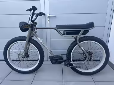 Ruff Cycles Biggie