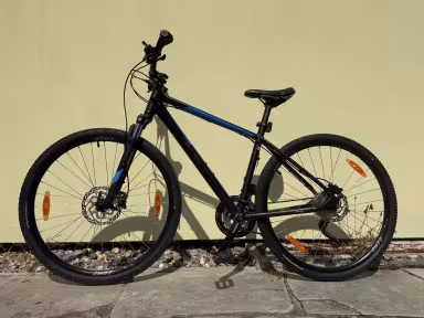 Bulls Cross Flyer Evo