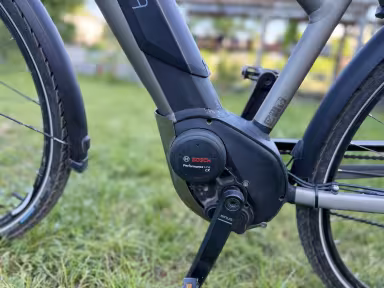 WINORA Sinus Ix11