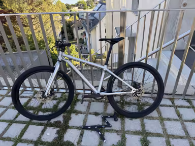 Early Rider Belter 24''