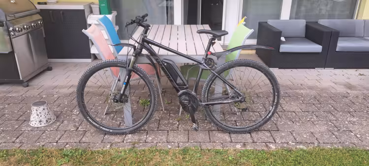 Whistle E-Mtb