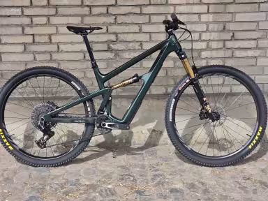 Ibis Ripley