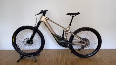 Orbea Wild FS H20