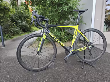 Cipollini Bond